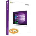 Windows 10 Professional 5PC